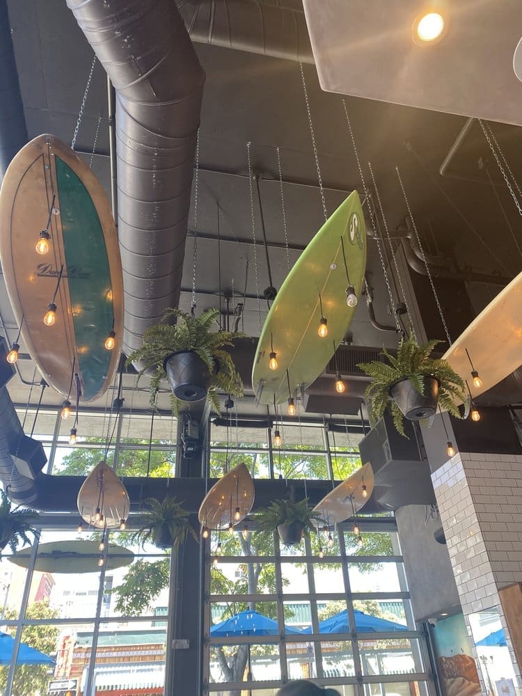 Hanging surfboards in the Fig Tree Cafe